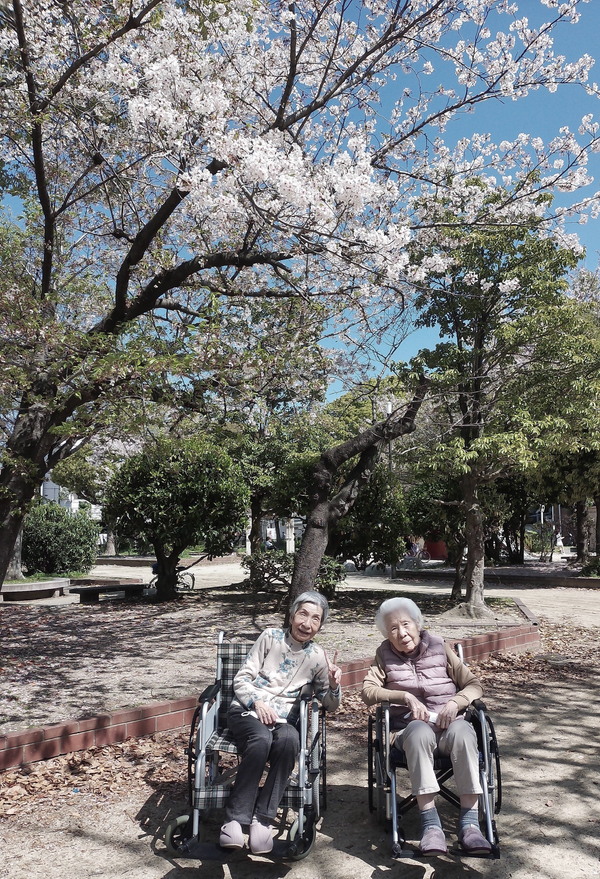 🌸4月のお花見🌸